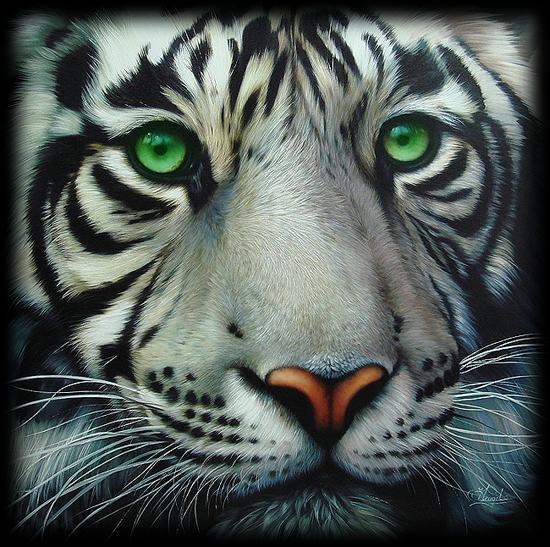 tigercode3.png