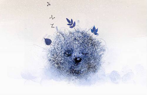 Little hedgehog.jpg