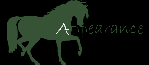 Appearance Title.png