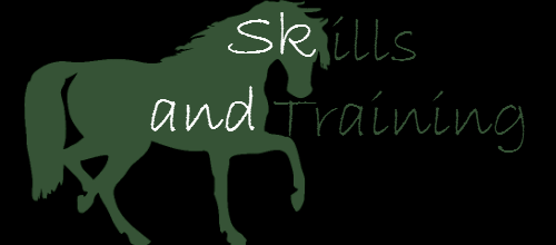 Skills Title.png