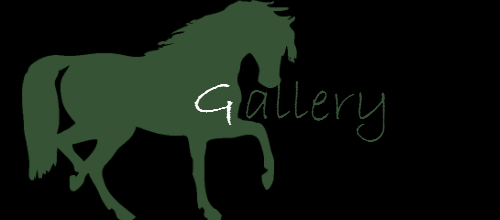 Gallery Title.png