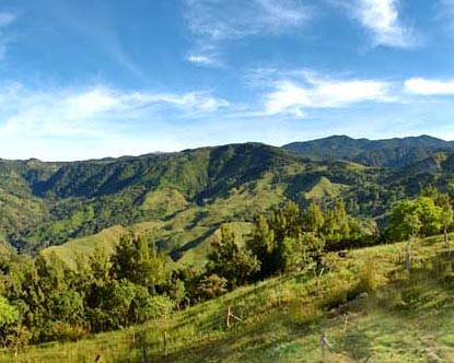 monteverde-cloud-forest.jpg
