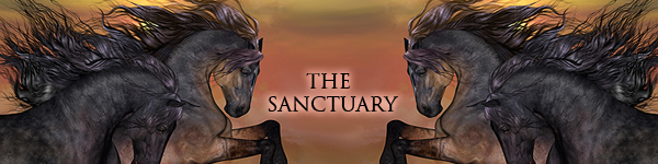 kavbanner.png