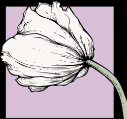 2013-10-20 Flower piece.png