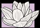 2013-10-20 Flower 1.png