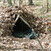 Wilderness Survival.png