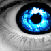 Observation.png
