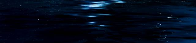 Moon Over Water Bottom.jpg