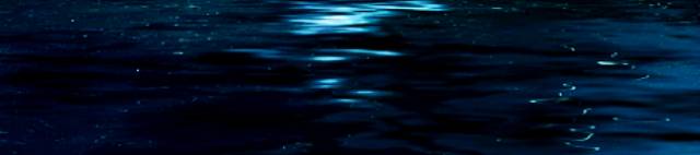 Moon Over Water Bottom 2.jpg