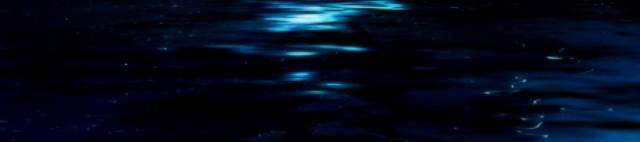 Moon Over Water Bottom 2.jpg