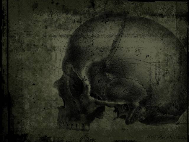 Green_Skull-Large Parchment.jpeg