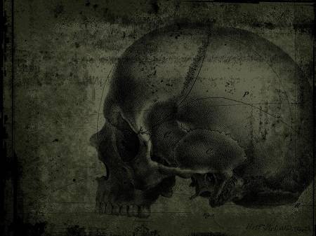 Green_Skull-Large Parchment.jpeg