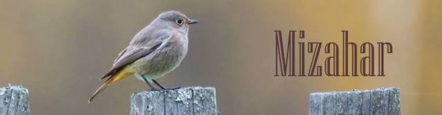 Banner3.jpg