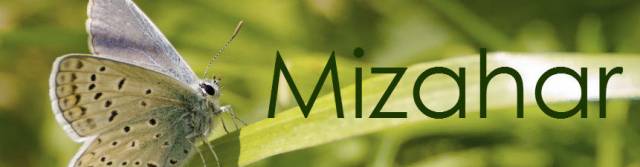 Banner4.jpg