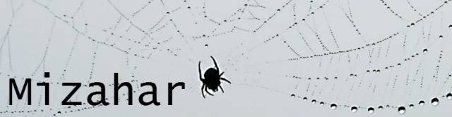 Banner5.jpg