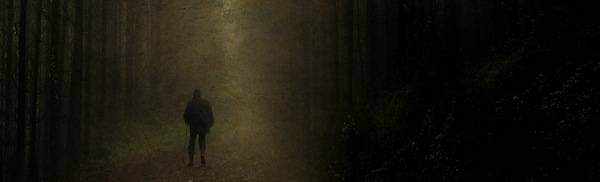 dark_forest_walk_by_tadbeer.jpg