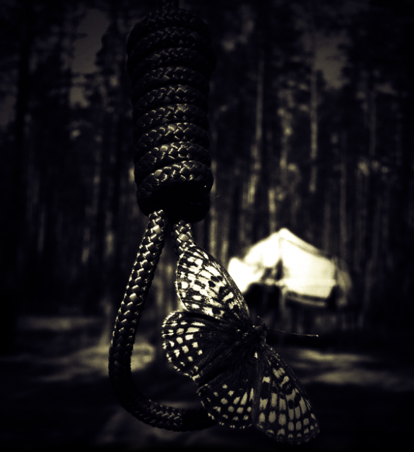 Untitled-1.png