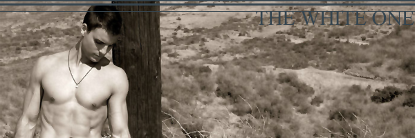 2013-11-05 Sei Tendo Lower.png