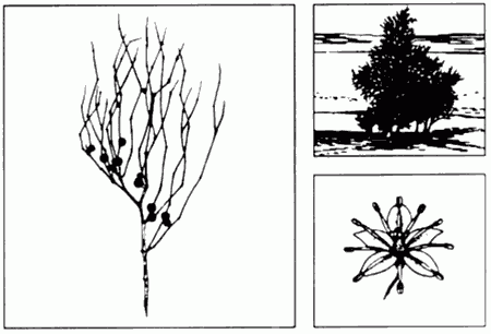 figb-1.gif