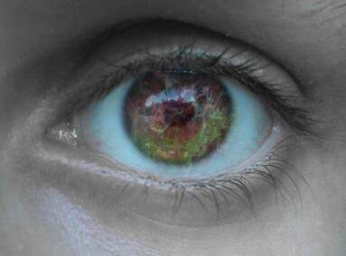 IMG_20131031_201253.jpg