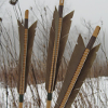 Shortbow Arrows.png