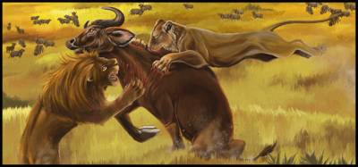 huntgrasslandlions.jpg