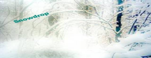 fbe3cb2d-9ea5-4377-b325-7ff3bd90b45b_zpsc7ec45fd.jpg