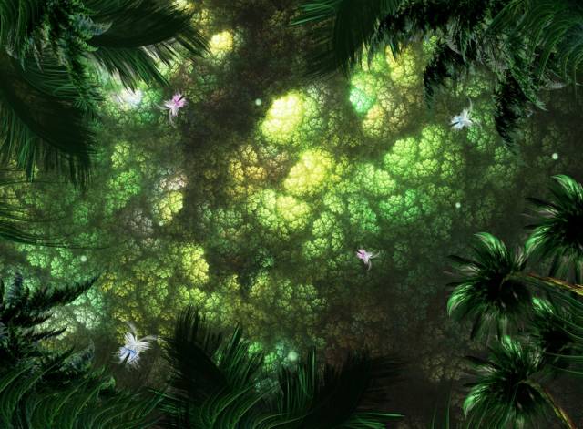 jungle.jpg