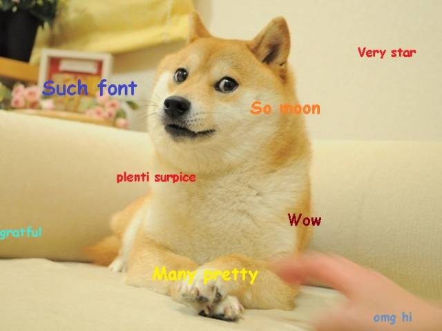 Doge.jpg