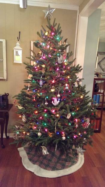 xmas tree.jpg