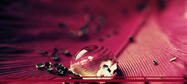 Emo_Loves_You_by_IIMadhoshiII (600x270).jpg