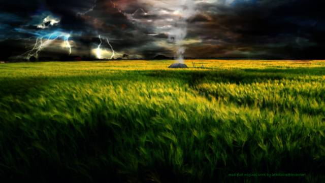 Grass_Field.jpg
