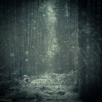 snow_falling_by_sternenfern-d4t8n4y.jpg