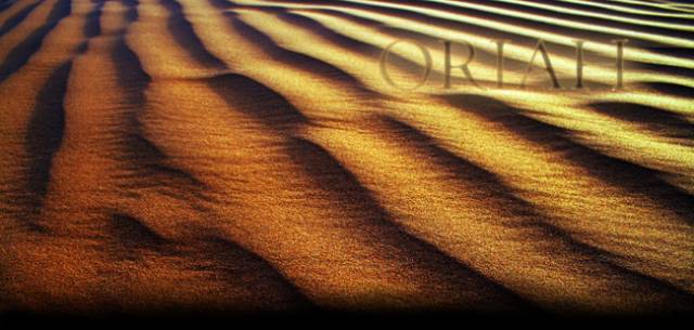 header2.jpg