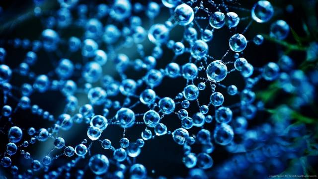 download-dew-water-drops-on-a-spider-web.jpg