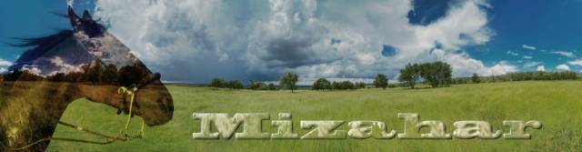 mizbanner.jpg