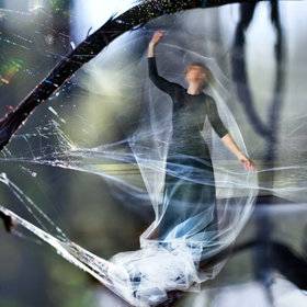 translucent.jpg