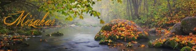 Autumn Banner.jpg