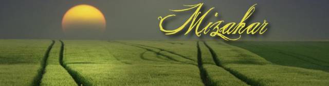 Spring Banner.jpg