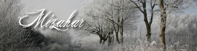 Winter banner.jpg