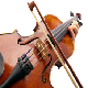 Fiddle.png