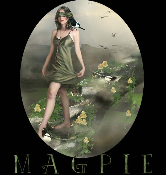 magpie.png