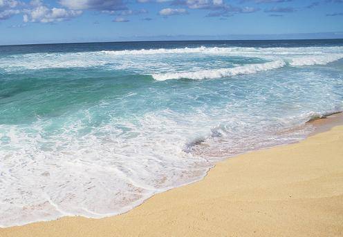 Beach_and_Sea_of_Hawaii_JY159_350A.jpg