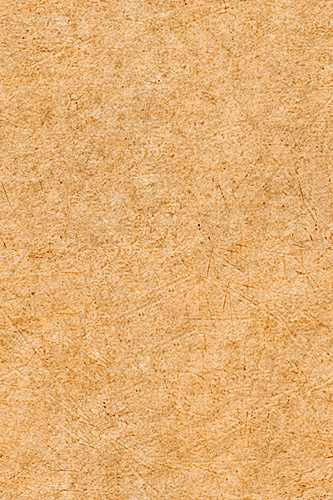 old paper 4.png