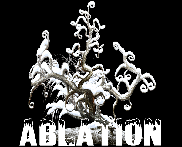 ablation.png