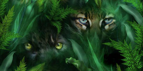 Jungle Cat Eyes.jpg