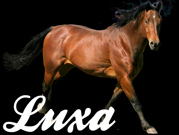 luxa.png