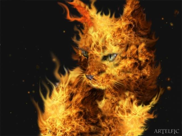 704x528_3880_Firecat_2d_fantasy_cat_flame_wallpaper_picture_image_digital_art.jpg