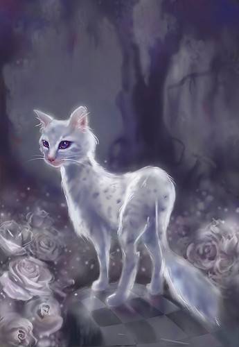 animals,cat,fantasy,garden,kitten,kitty-d6d81f1f86f7c739e4c1606213d92078_h.jpg