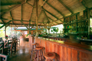 Jungle Cafe.png